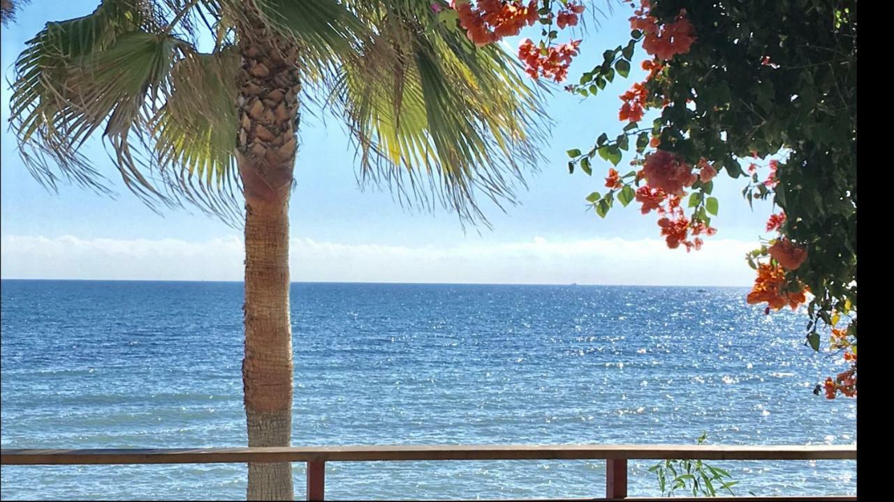 Mi Capricho Beachfront- 9D Apartment With Sea Views - Costa Del Sol 라칼라데미야스 외부 사진